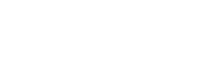 Vuln Seeker Logo